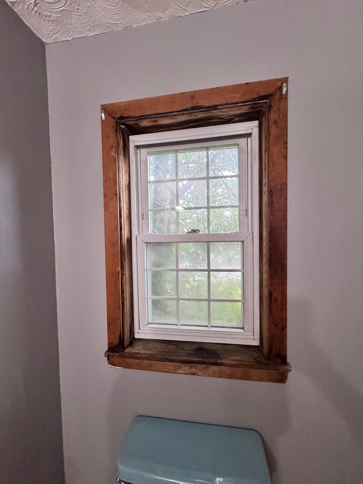 Refinished bathroom wall with clean paint and trimmed window