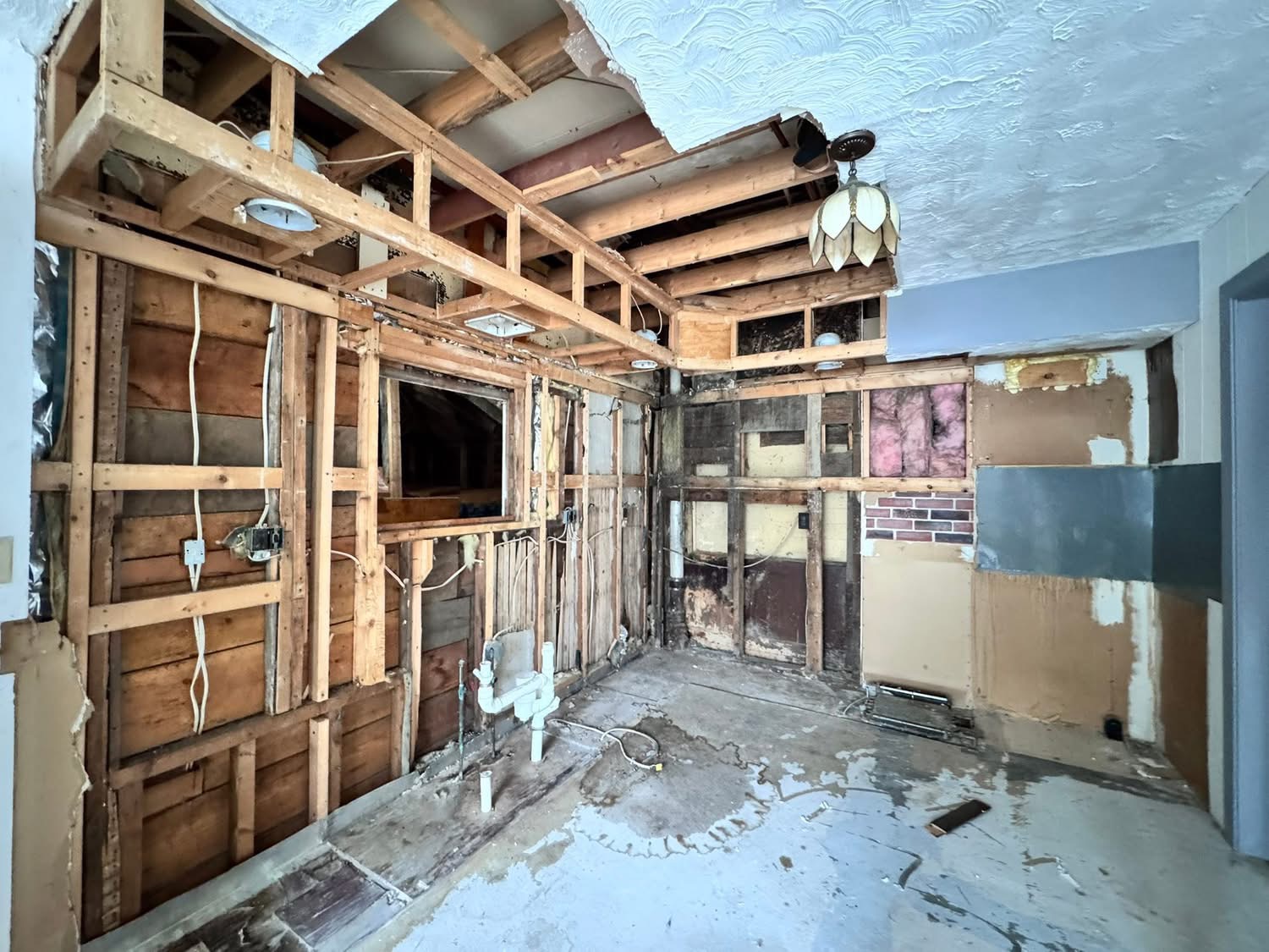 Kitchen gutted down to the studs before remodel